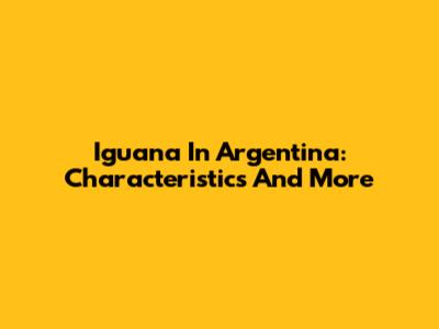 Iguana In Argentina: Characteristics And More
