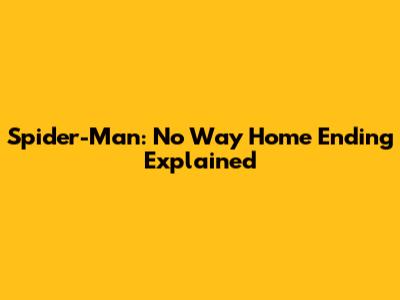 Spider-Man: No Way Home Ending Explained